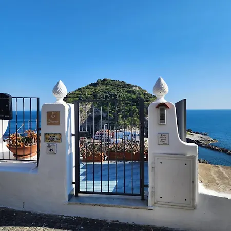 Divina Seaside Suite Ischia Exterior photo